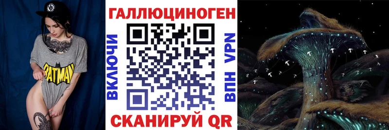 как найти   Петушки  Псилоцибиновые грибы GOLDEN TEACHER 